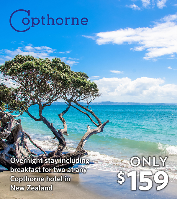 Bed And Breakfast Wellington Nz Bed And Breakfast Wellington Nz